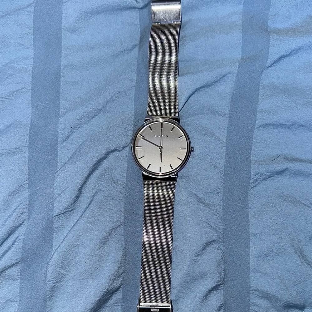 Skagen Silver Mesh Strap Watch